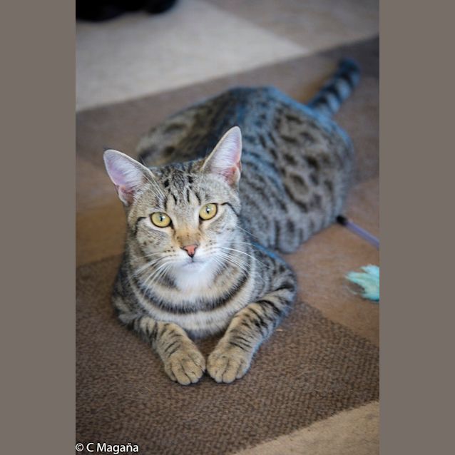 Photo of Benny Ec0131 