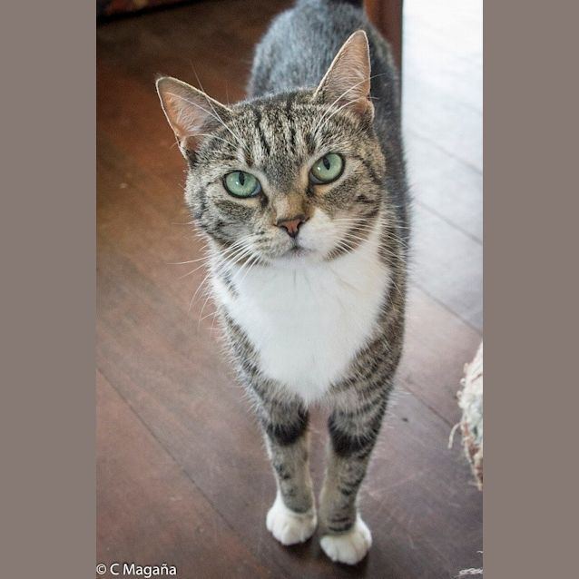 Photo of Flower   Ec0102