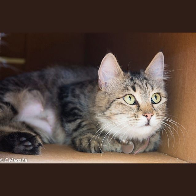 Photo of Marley Ec0168