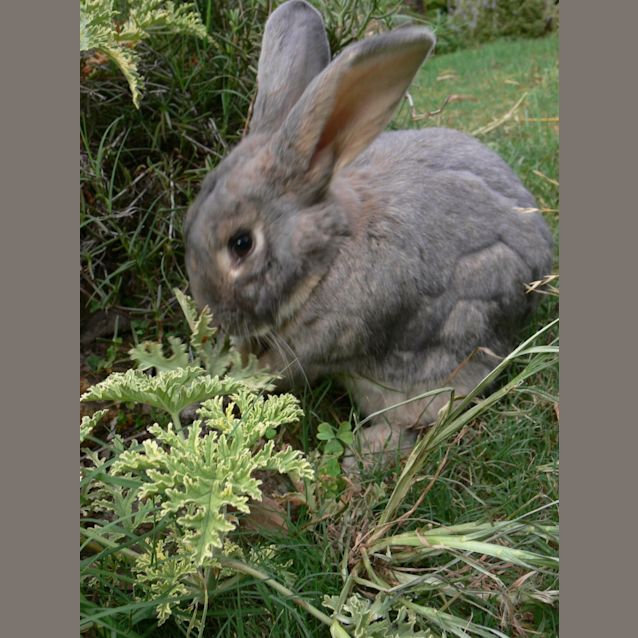 Photo of Walter
