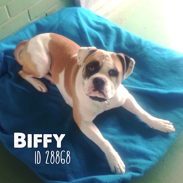 Photo of Biffy Id28868