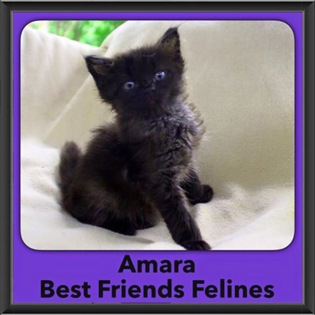 Photo of Amara