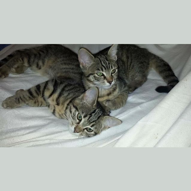 Photo of Kira And Sammy 