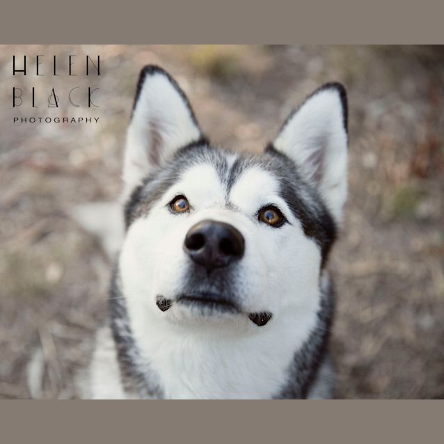 Photo of Timba