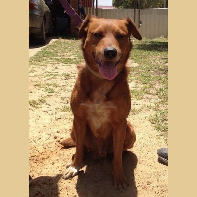 Photo of Henry Ed0038 