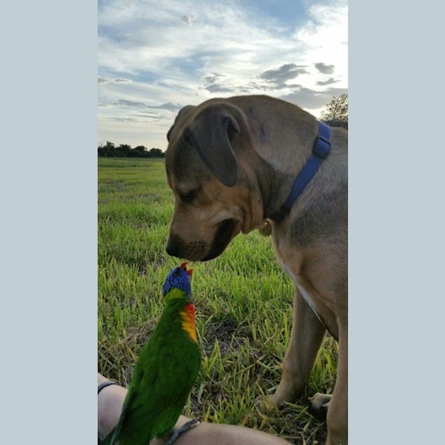 Photo of Baker Ed0040