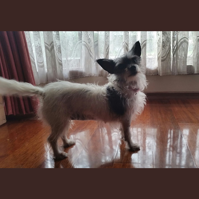 Photo of Cassie