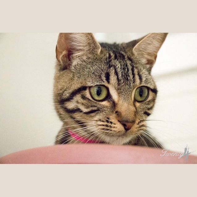 Photo of Constance (0382)