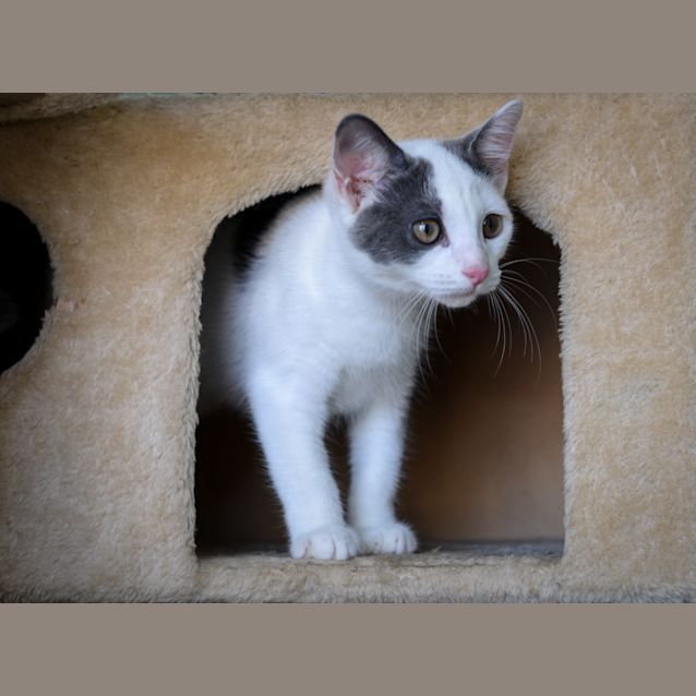 Photo of Lillith