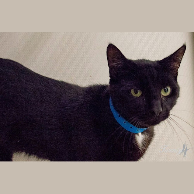 Photo of Kolleru (0380)