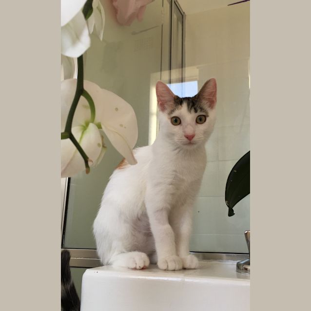 Photo of Cadbury   I'm Sweeter Than Chocolate!