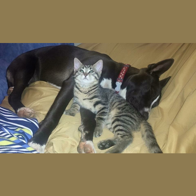 Photo of Sammy And Kira 