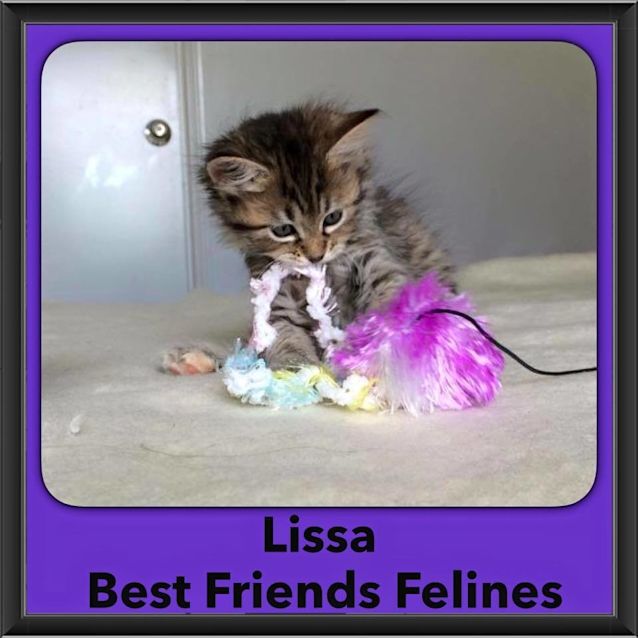 Photo of Lissa