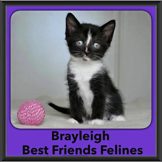 Photo of Brayleigh