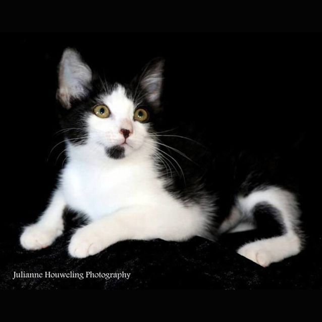 Photo of Alvina