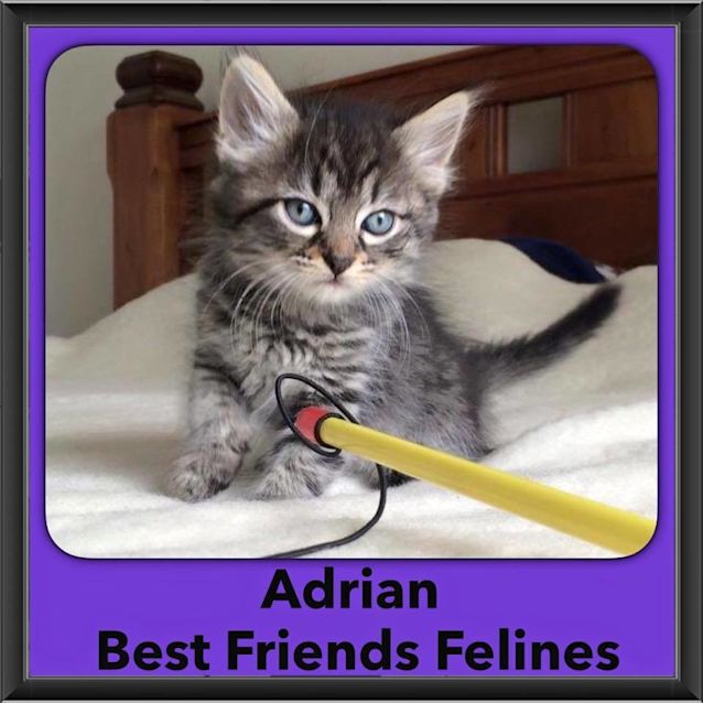 Photo of Adrian