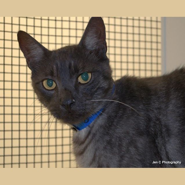 Photo of Colchester (0874)