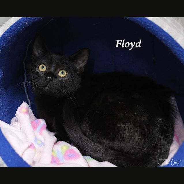 Photo of Floyd