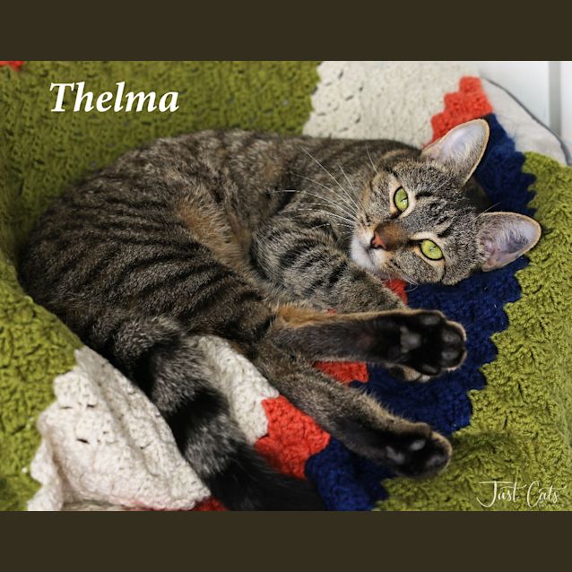Photo of Thelma