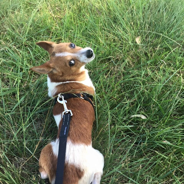 Photo of Teenie Tiny Oscar