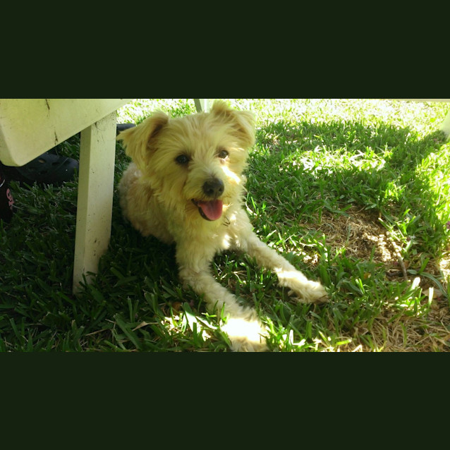 Photo of Laila