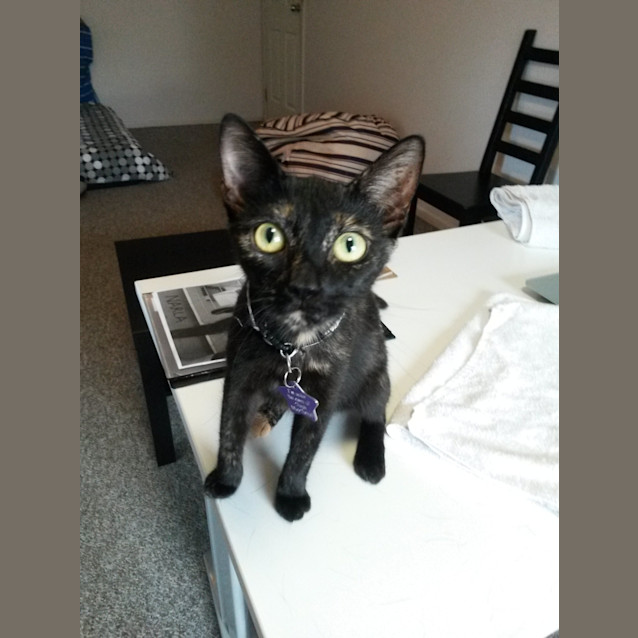 Photo of Narla