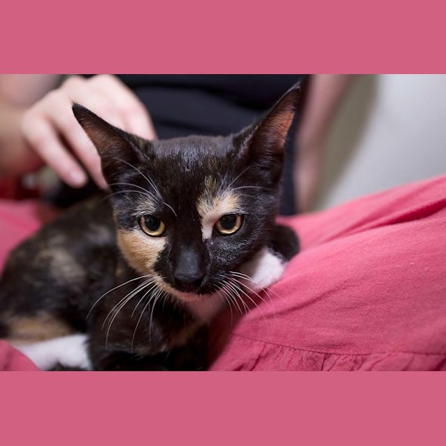 Photo of Cinnamon & Cashew