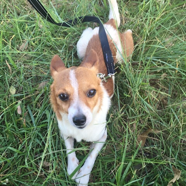 Photo of Teenie Tiny Oscar