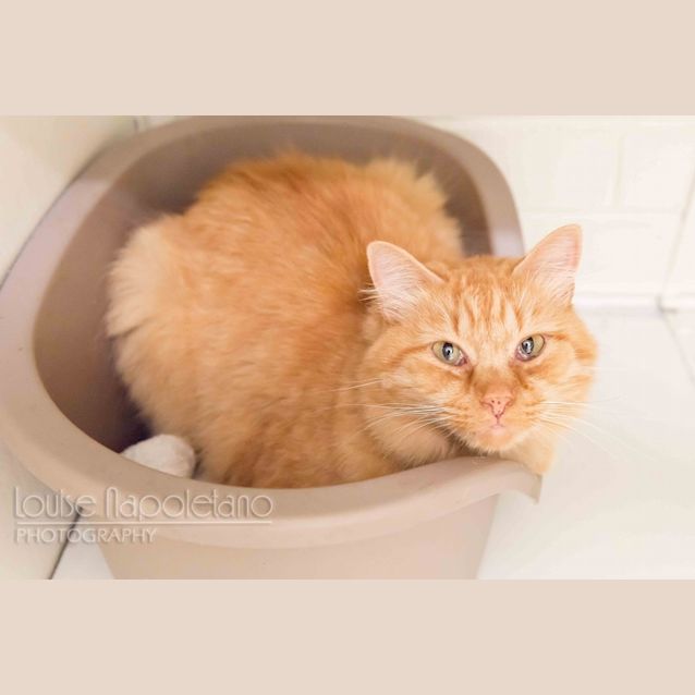 Photo of Witton (0882)