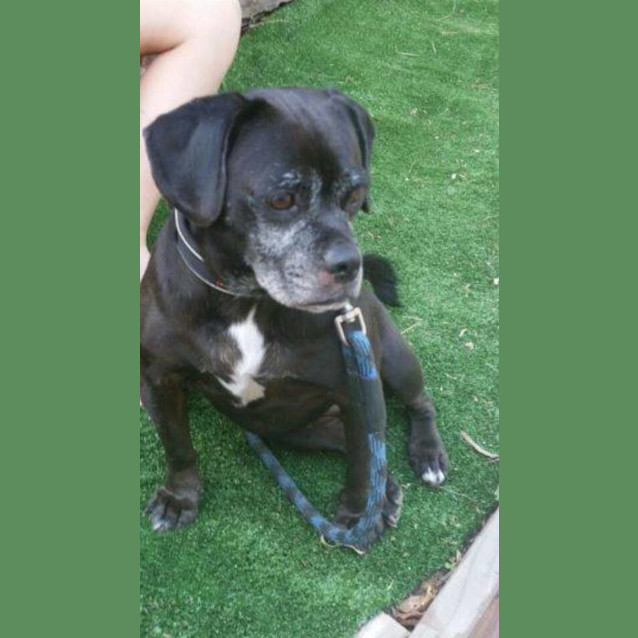 Photo of Molly