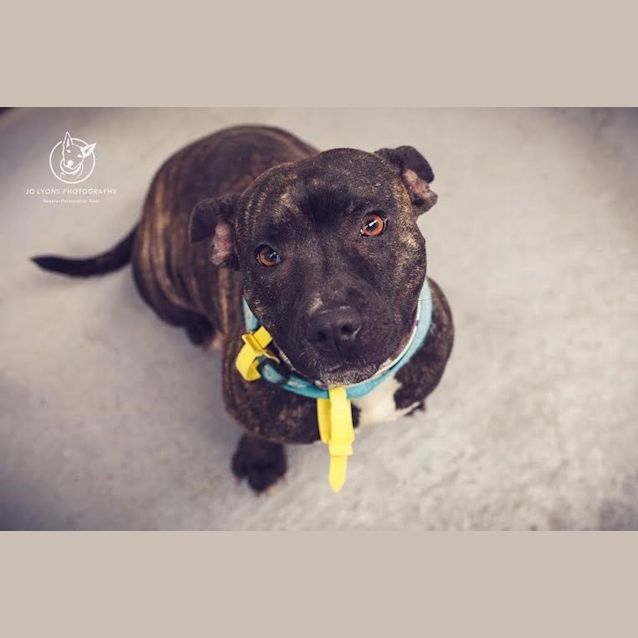 Photo of Miss Bubbles