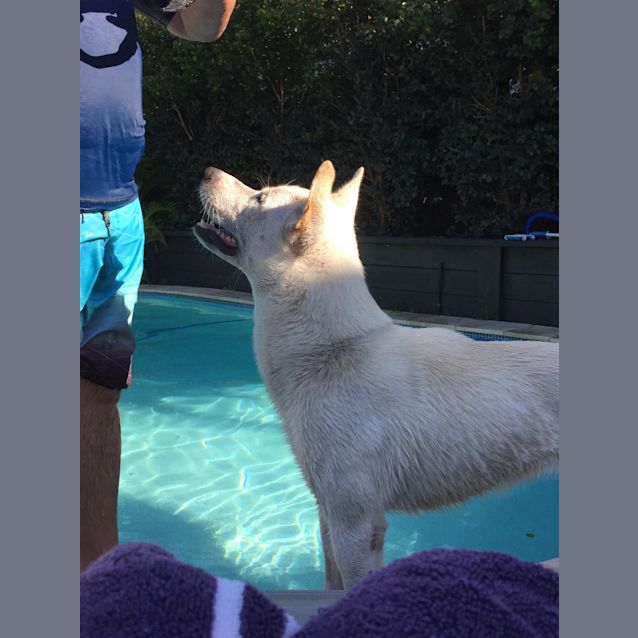 Photo of Jake