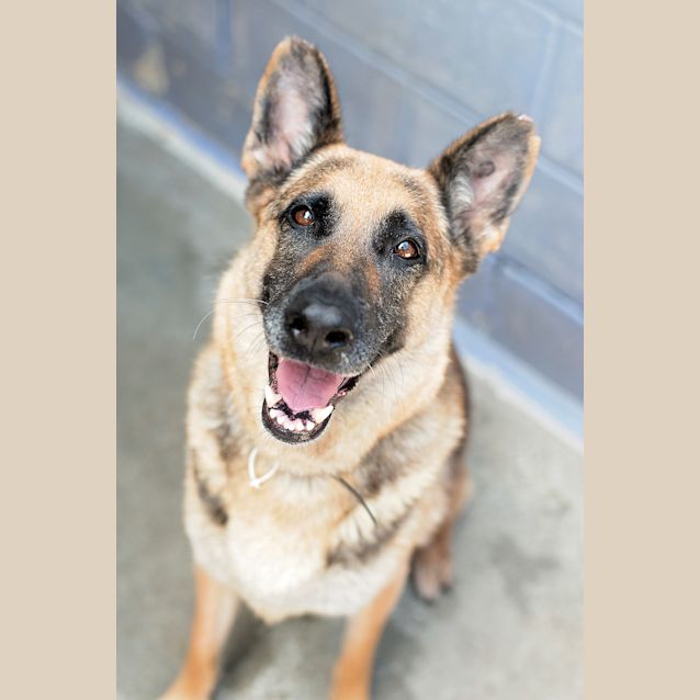 Photo of Sasha