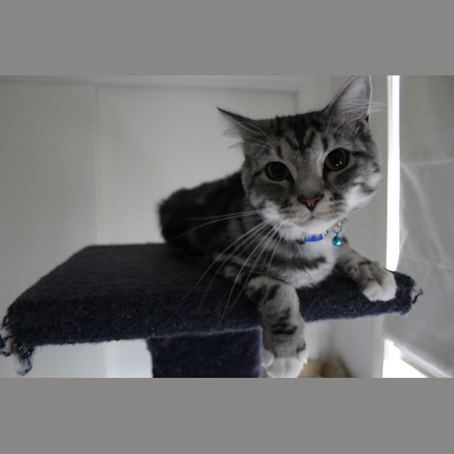 Photo of Tex