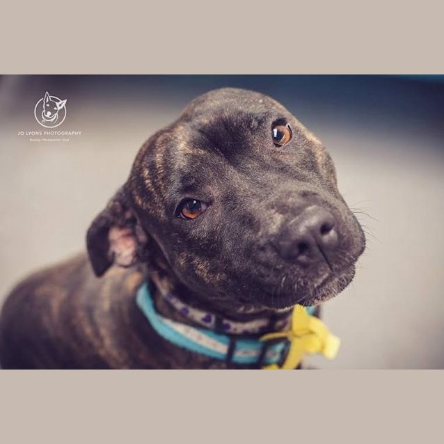 Photo of Miss Bubbles