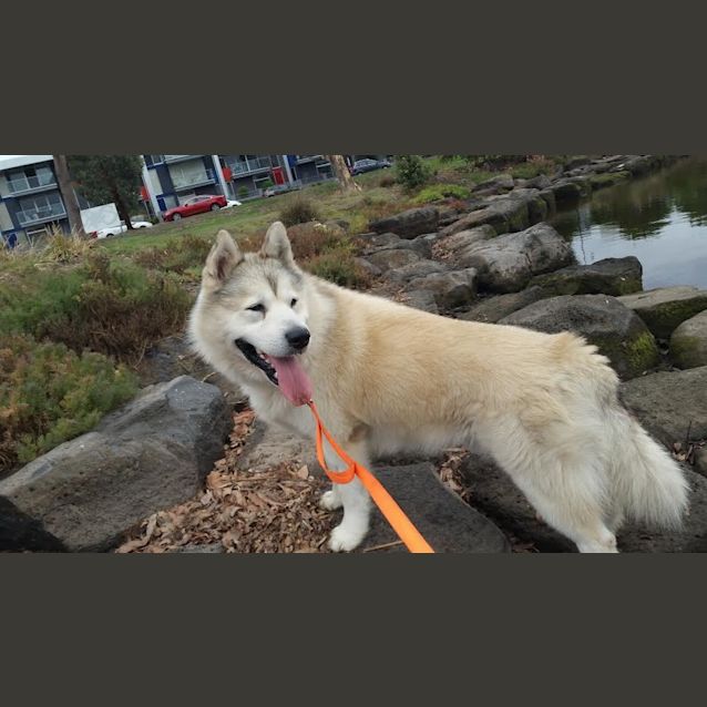Photo of Axle