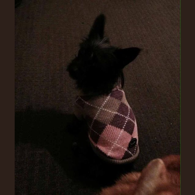 Photo of Hope (And Sheldon)