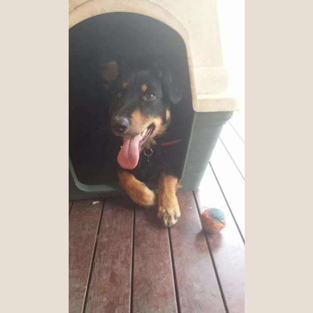 Photo of Joxter