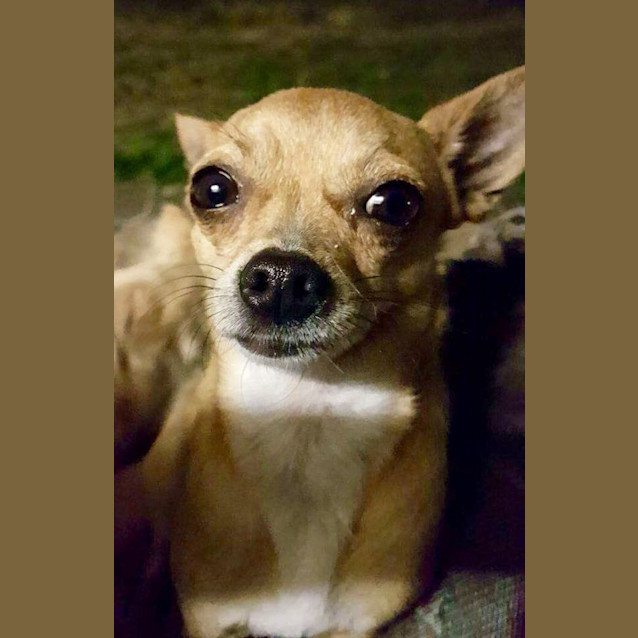 Photo of Roger