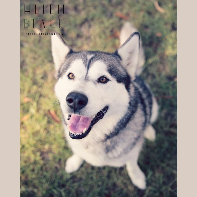Photo of Timba