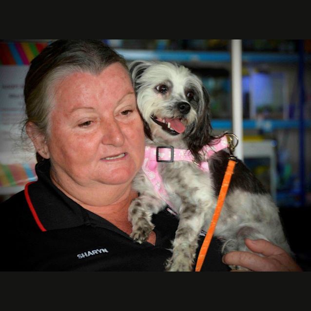 Photo of Chloe Princess (Adoption Pending)