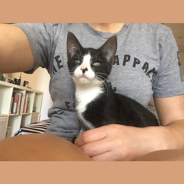 Photo of Coco