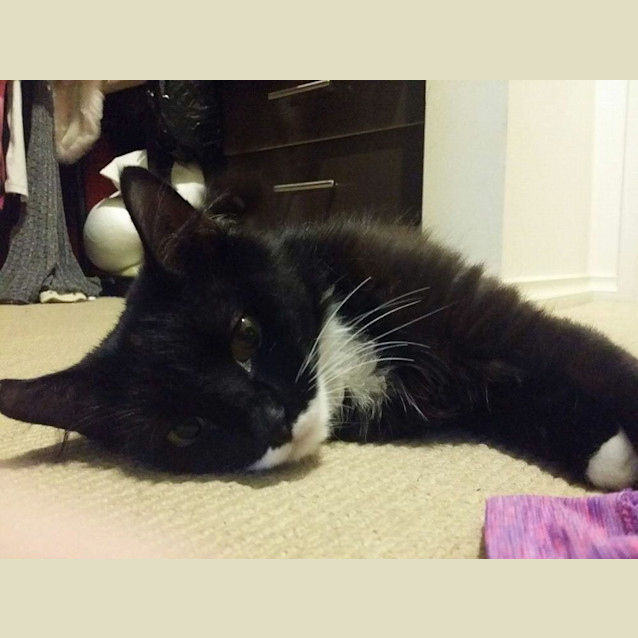 Photo of Tabitha