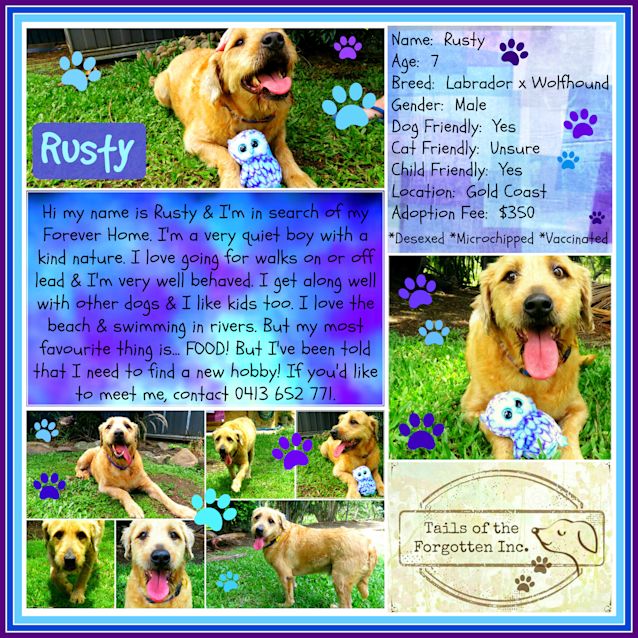 Photo of Rusty