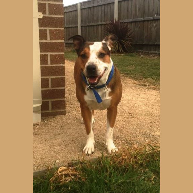 Photo of Chloe