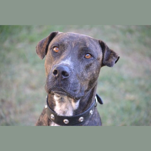 Photo of Wilbur
