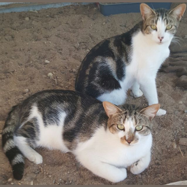 Photo of Harley & Marley