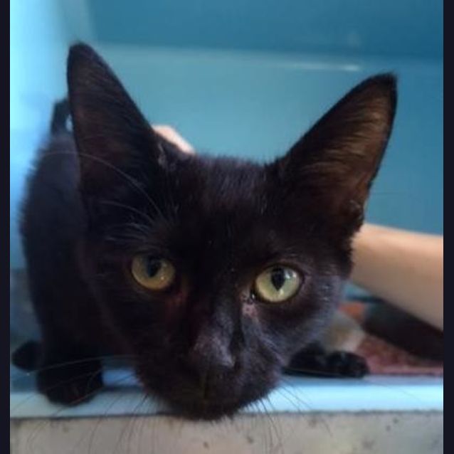 Photo of Jasper