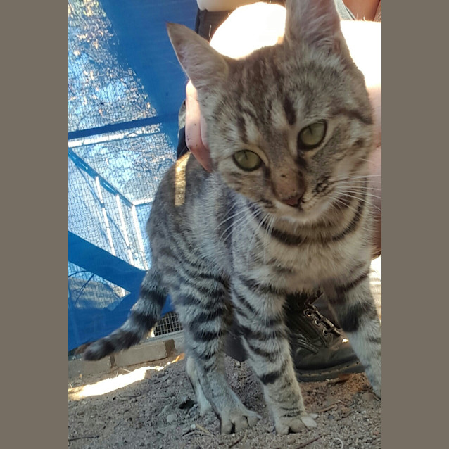 Photo of Mae