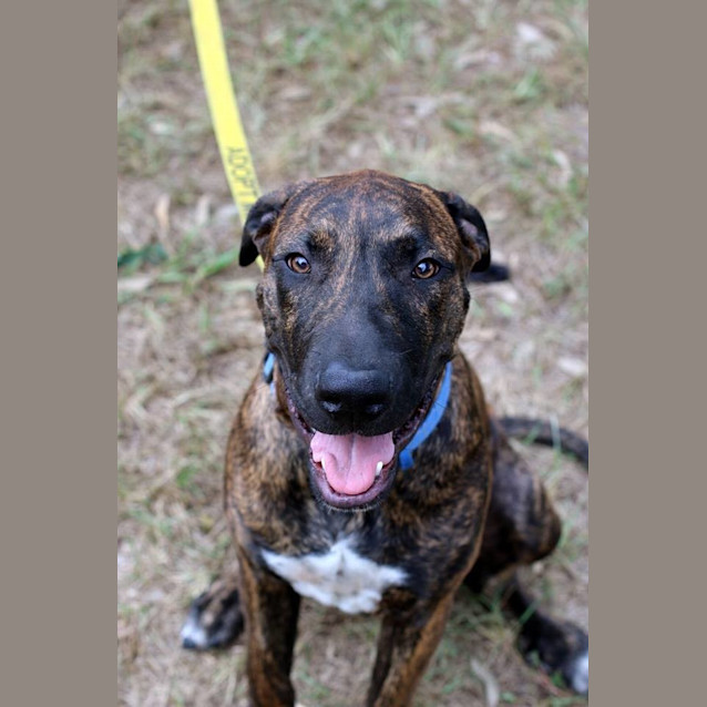 Photo of Linc *I'm Just $200*